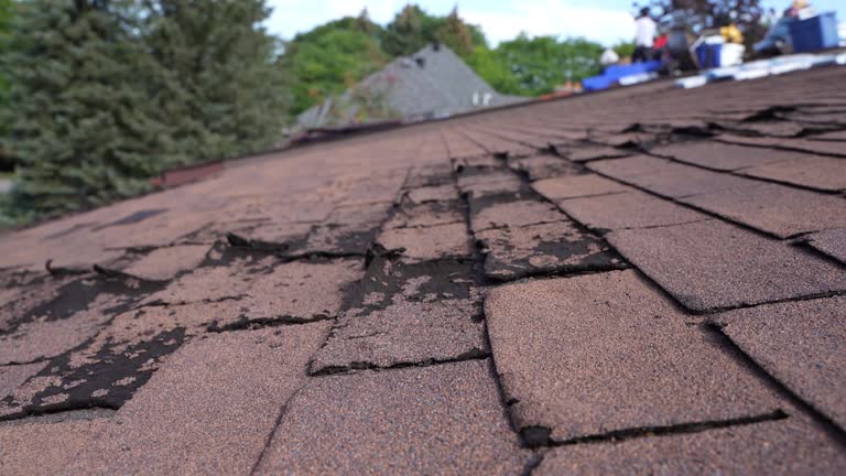 Best Rubber Roofing (EPDM, TPO)  in Lehighton, PA