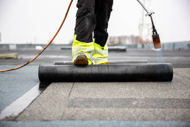 Best Skylight Installation and Repair  in Lehighton, PA