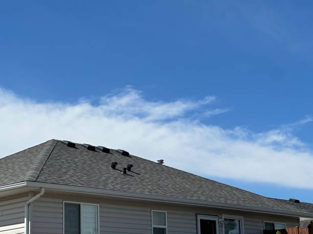 Best Asphalt Shingles Roofing  in Lehighton, PA